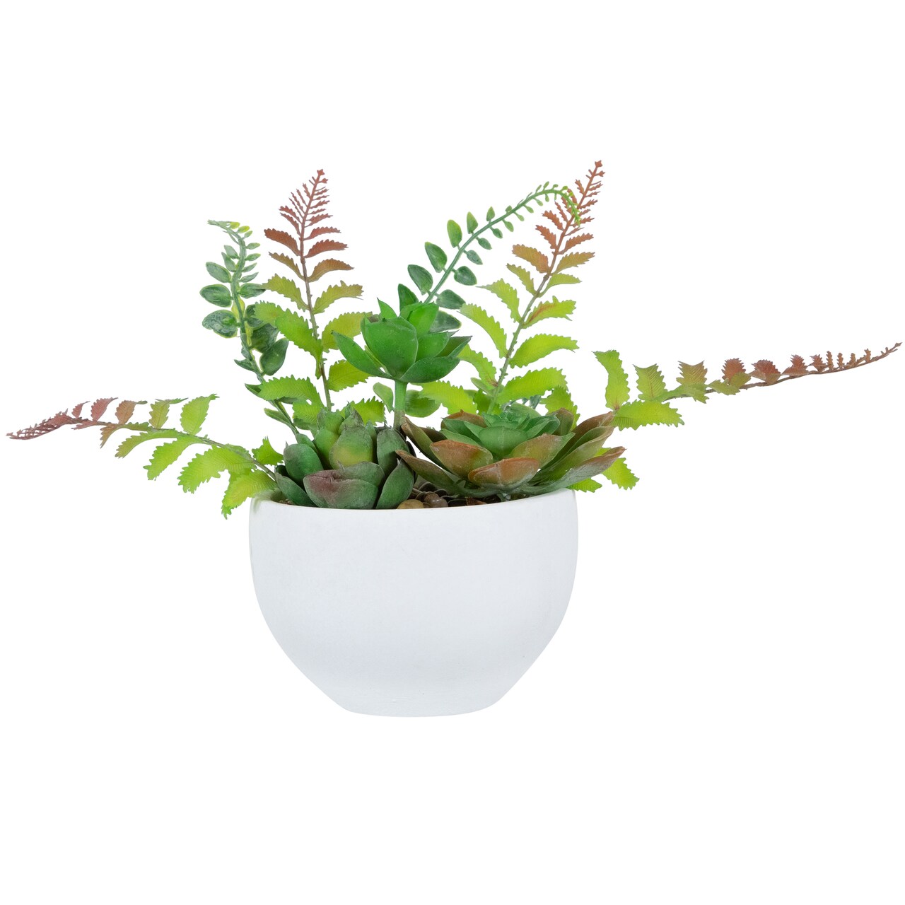 Northlight Potted Artificial Mixed Succulent Fern Plant - 11.5"